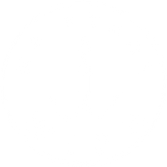 MS Stadt Wien Logo